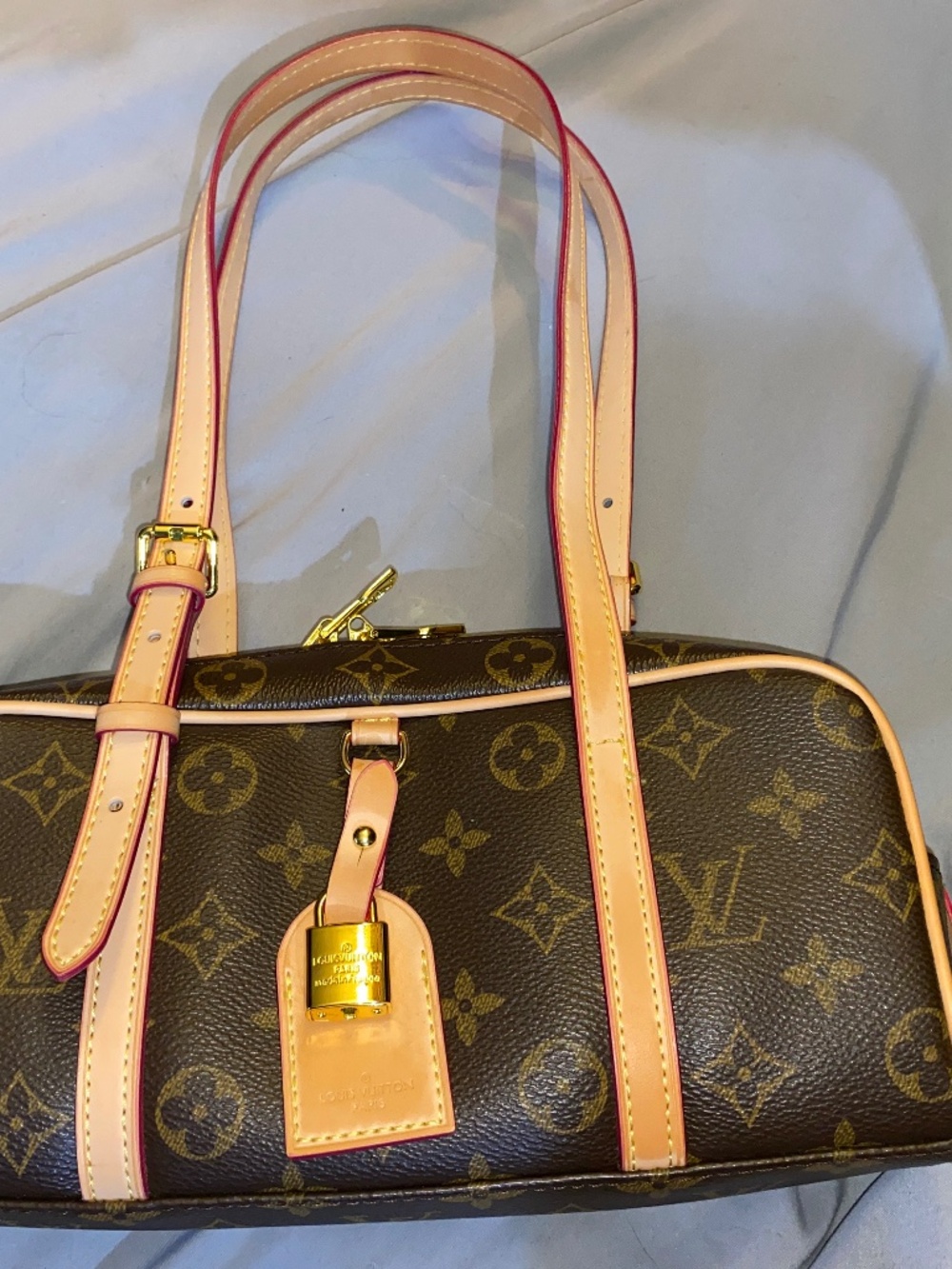 Louis Vuitton Monogram HangOn bag